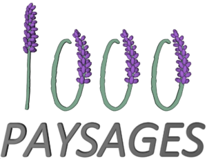 logo 1000 paysages