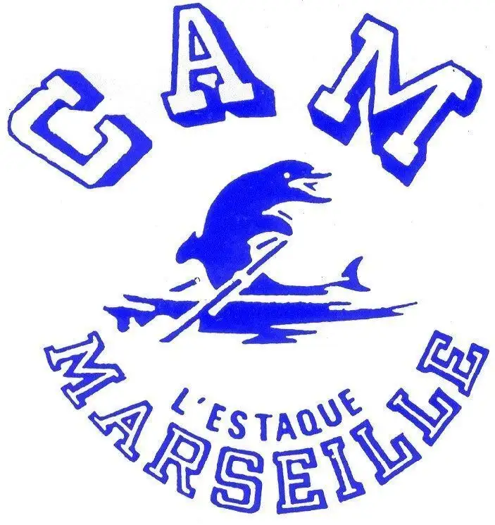 Logo CAM bleu